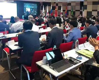 專業(yè)個人翻譯服務 精準解讀與翻譯診斷報告